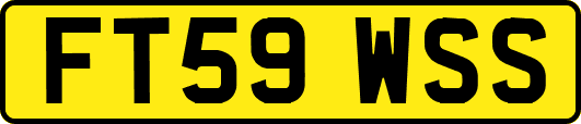 FT59WSS