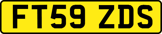 FT59ZDS