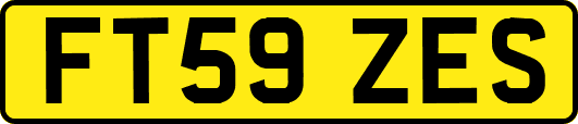 FT59ZES