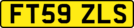 FT59ZLS