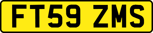 FT59ZMS