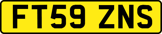 FT59ZNS