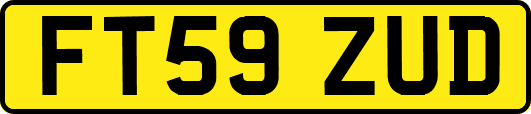 FT59ZUD