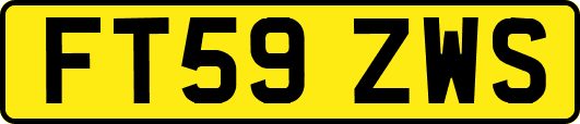 FT59ZWS
