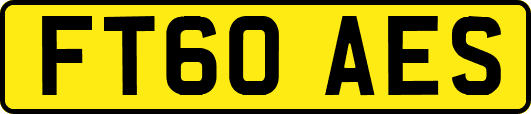 FT60AES