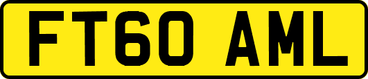 FT60AML