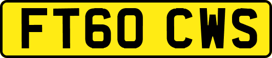 FT60CWS