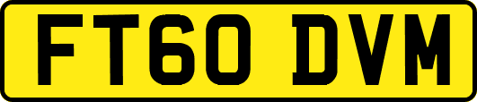 FT60DVM