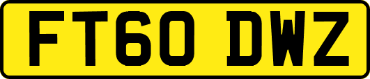 FT60DWZ
