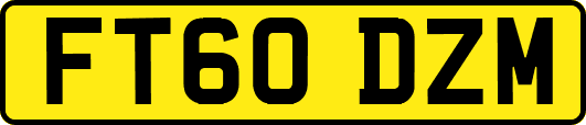 FT60DZM