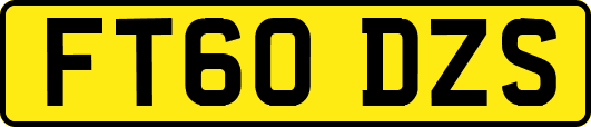FT60DZS