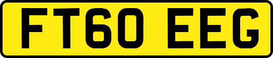 FT60EEG