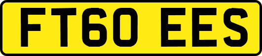 FT60EES