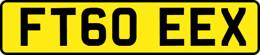 FT60EEX