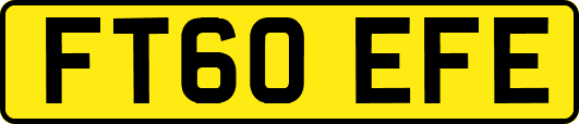 FT60EFE
