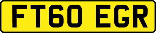 FT60EGR