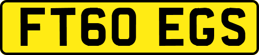 FT60EGS