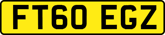 FT60EGZ