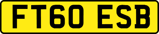 FT60ESB