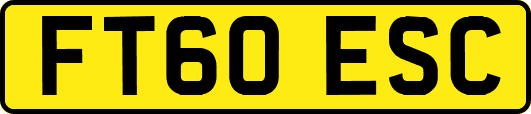 FT60ESC