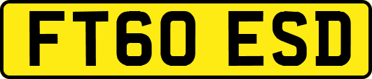 FT60ESD