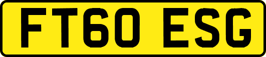 FT60ESG