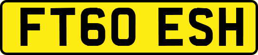 FT60ESH