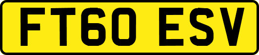 FT60ESV
