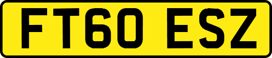 FT60ESZ