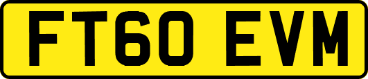FT60EVM