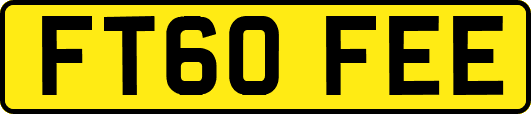 FT60FEE