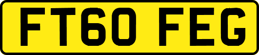 FT60FEG
