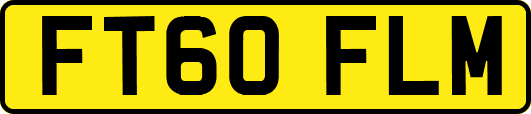 FT60FLM