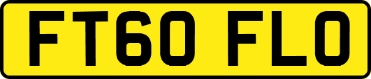 FT60FLO