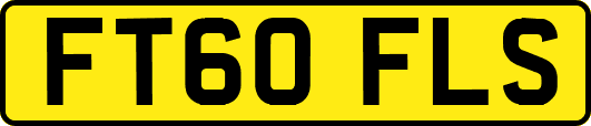 FT60FLS