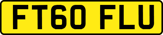 FT60FLU