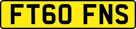 FT60FNS