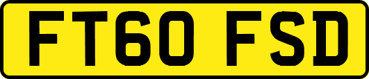 FT60FSD