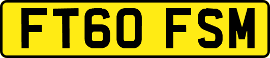 FT60FSM