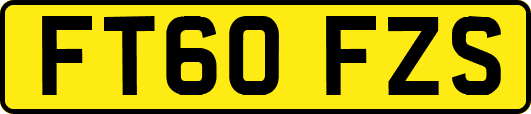 FT60FZS