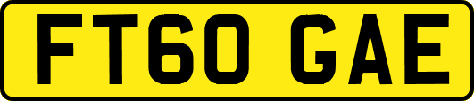 FT60GAE
