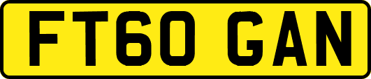 FT60GAN