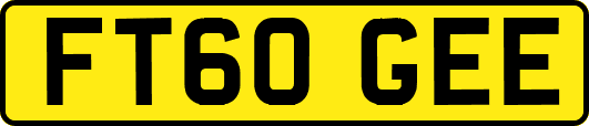 FT60GEE