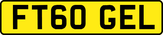 FT60GEL