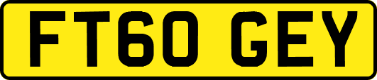 FT60GEY