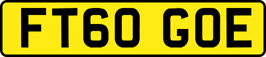FT60GOE
