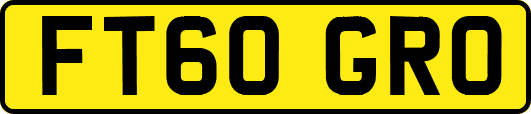 FT60GRO
