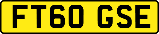 FT60GSE