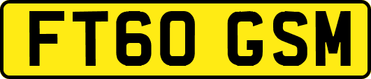 FT60GSM