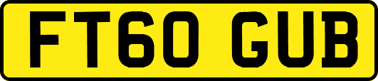 FT60GUB